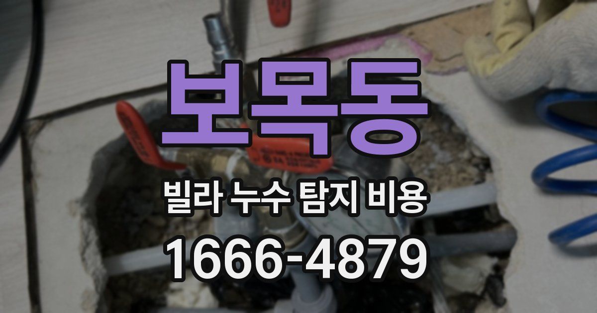 보목동 빌라 누수 탐지 비용