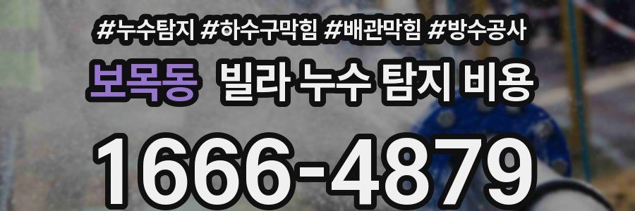 보목동 빌라 누수 탐지 비용