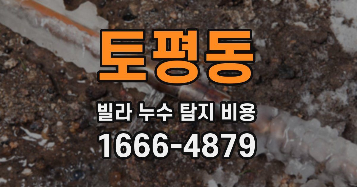 토평동 빌라 누수 탐지 비용