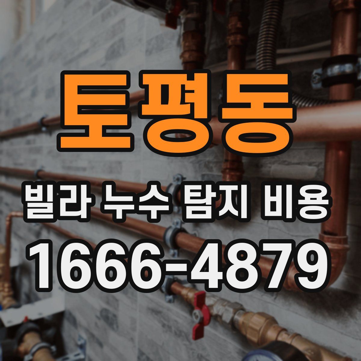 토평동 빌라 누수 탐지 비용
