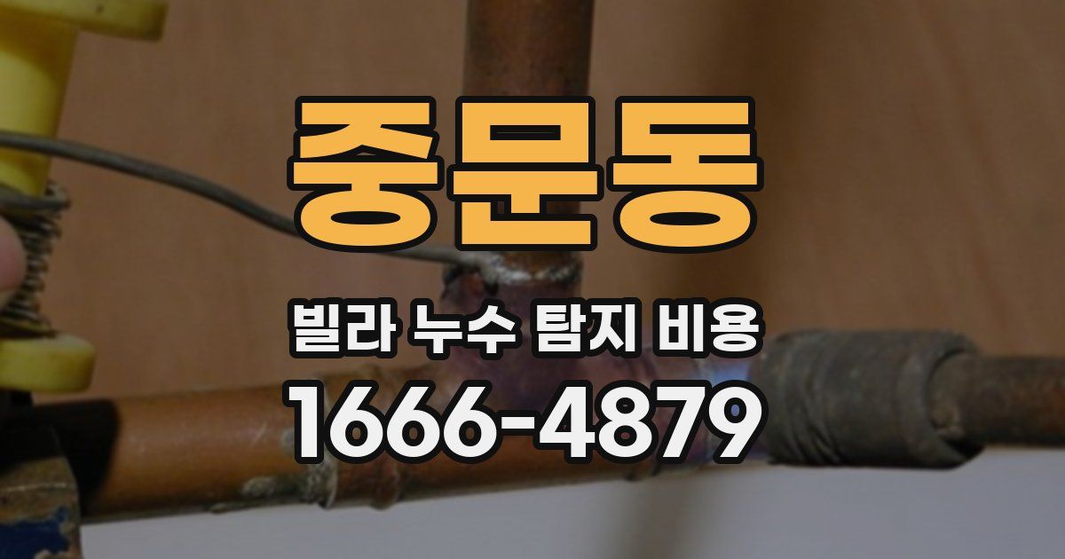 중문동 빌라 누수 탐지 비용