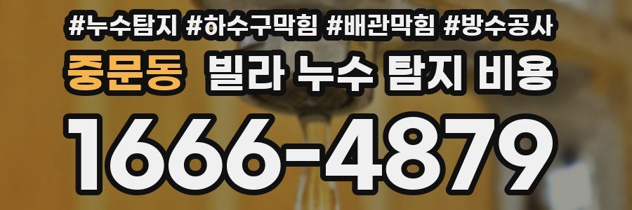 중문동 빌라 누수 탐지 비용