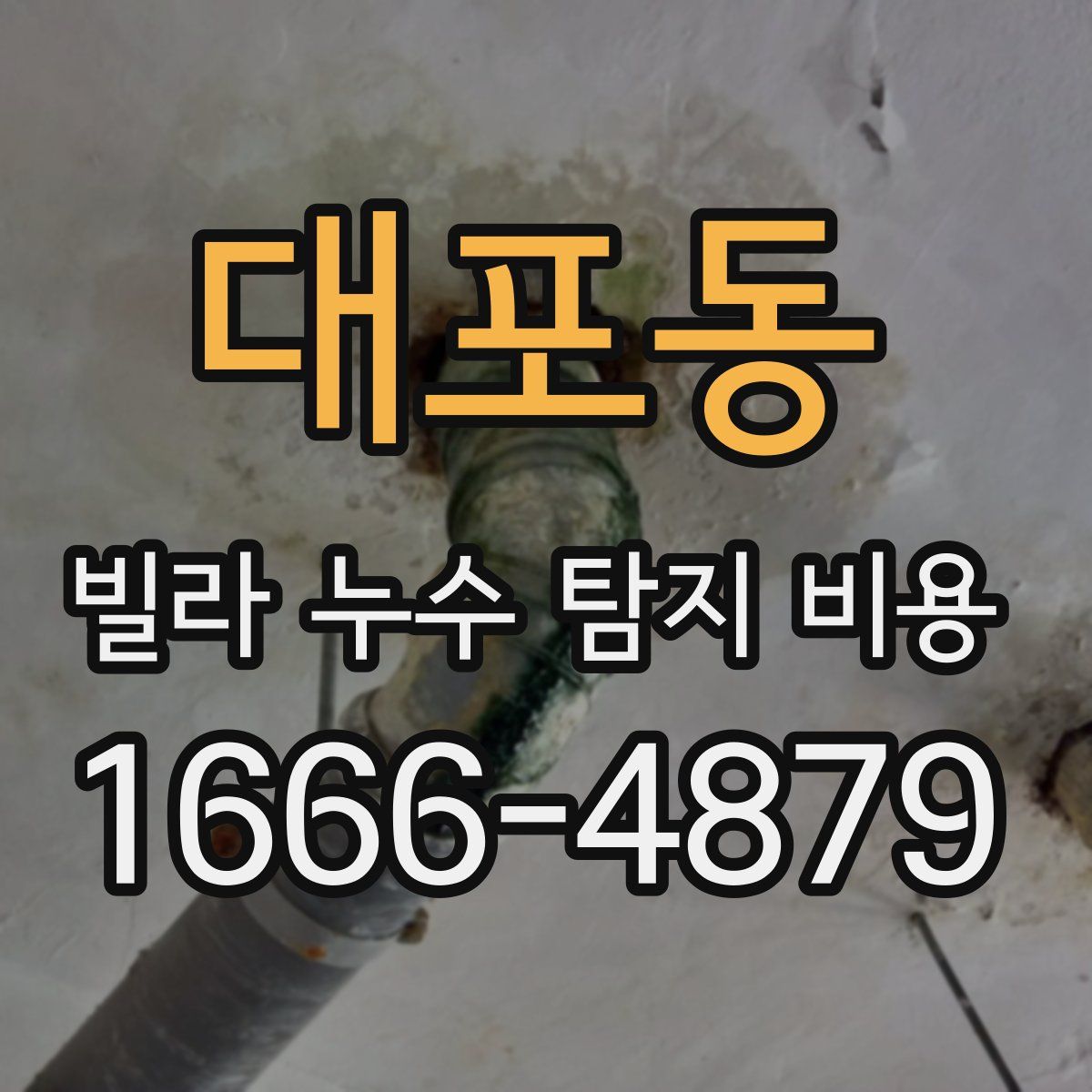 대포동 빌라 누수 탐지 비용