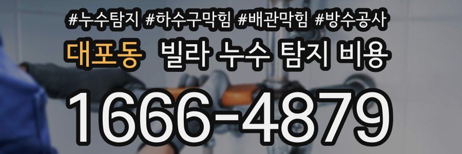 대포동 빌라 누수 탐지 비용