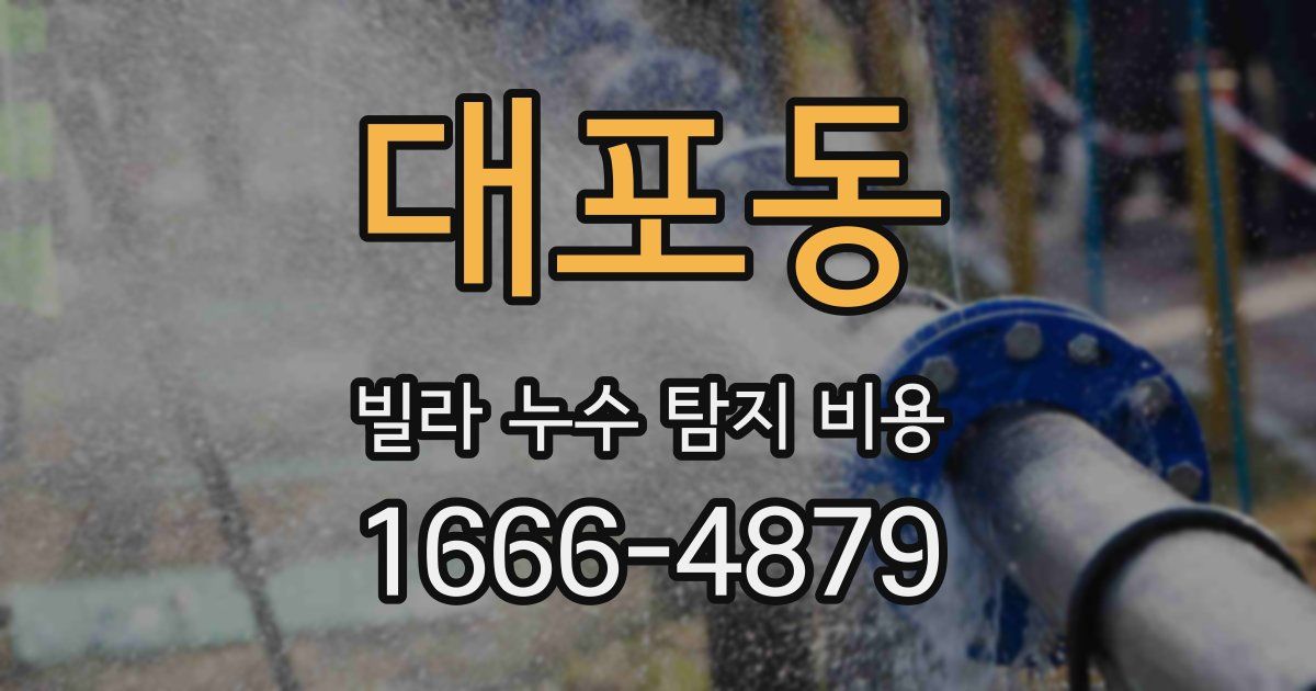 대포동 빌라 누수 탐지 비용