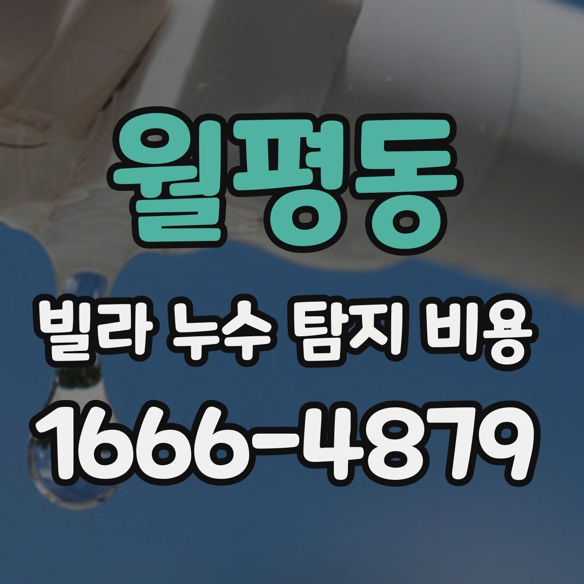 월평동 빌라 누수 탐지 비용