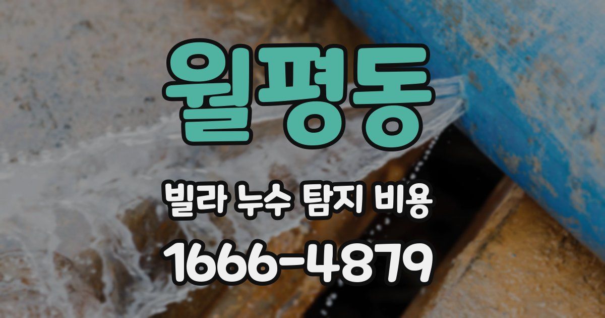 월평동 빌라 누수 탐지 비용