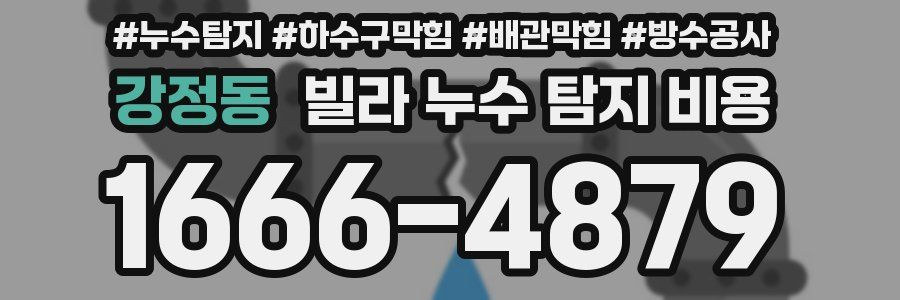강정동 빌라 누수 탐지 비용