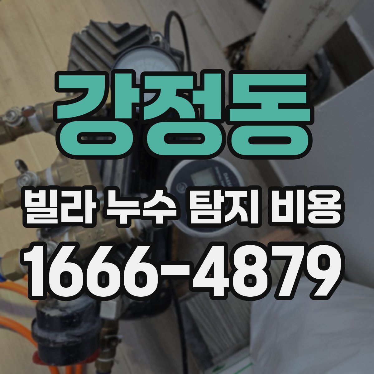 강정동 빌라 누수 탐지 비용