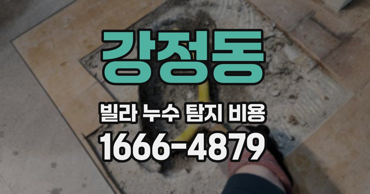 강정동 빌라 누수 탐지 비용