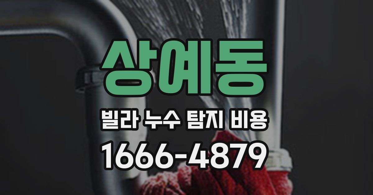 상예동 빌라 누수 탐지 비용