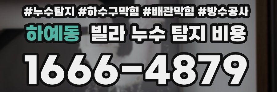하예동 빌라 누수 탐지 비용