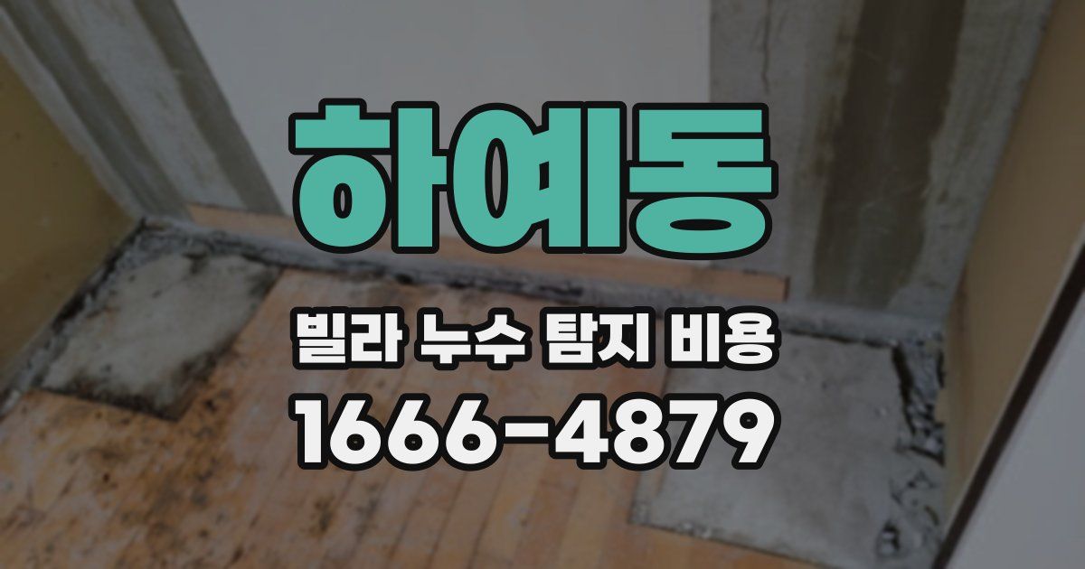 하예동 빌라 누수 탐지 비용