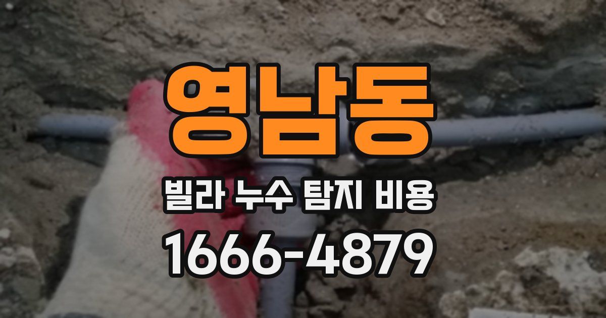 영남동 빌라 누수 탐지 비용