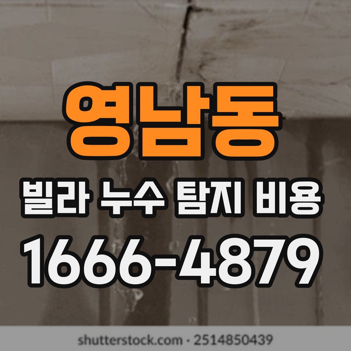 영남동 빌라 누수 탐지 비용
