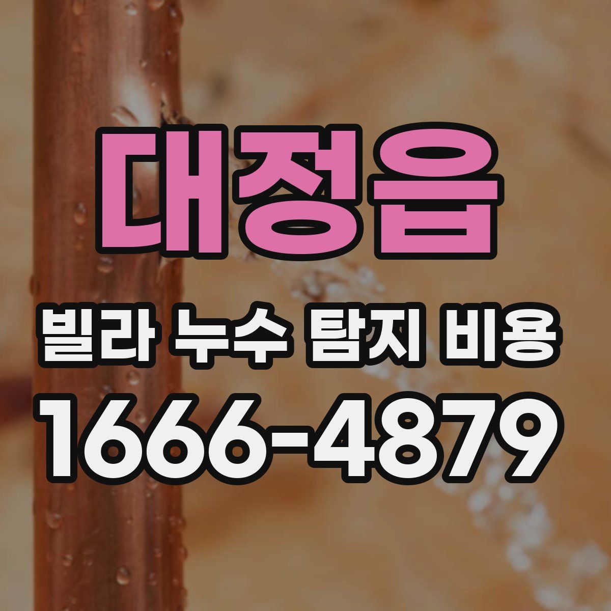 대정읍 빌라 누수 탐지 비용