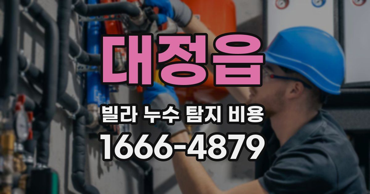 대정읍 빌라 누수 탐지 비용