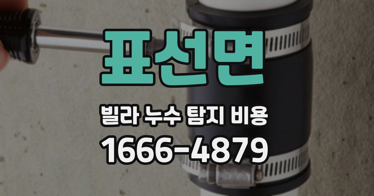 표선면 빌라 누수 탐지 비용