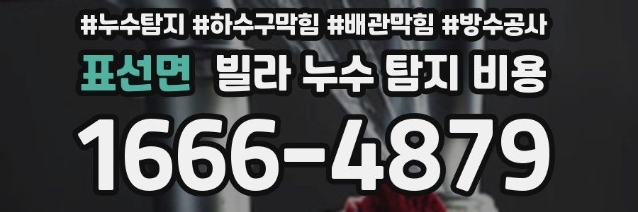 표선면 빌라 누수 탐지 비용