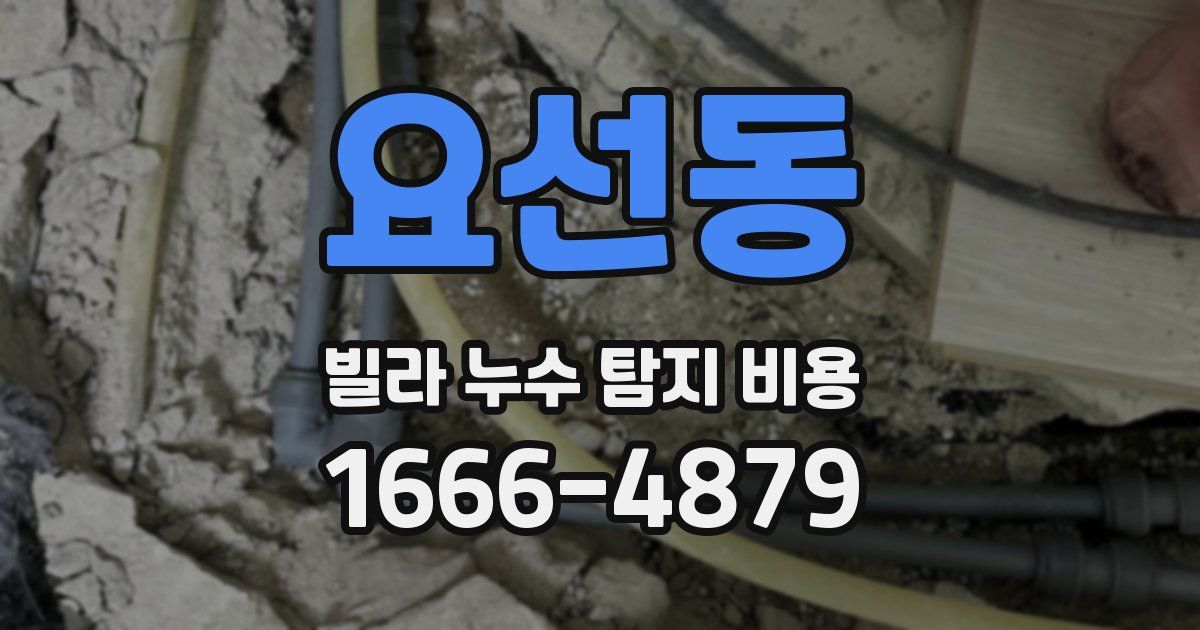 요선동 빌라 누수 탐지 비용