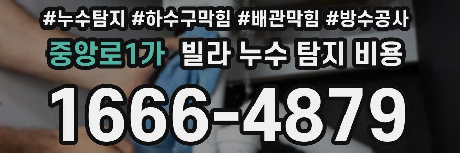 중앙로1가 빌라 누수 탐지 비용