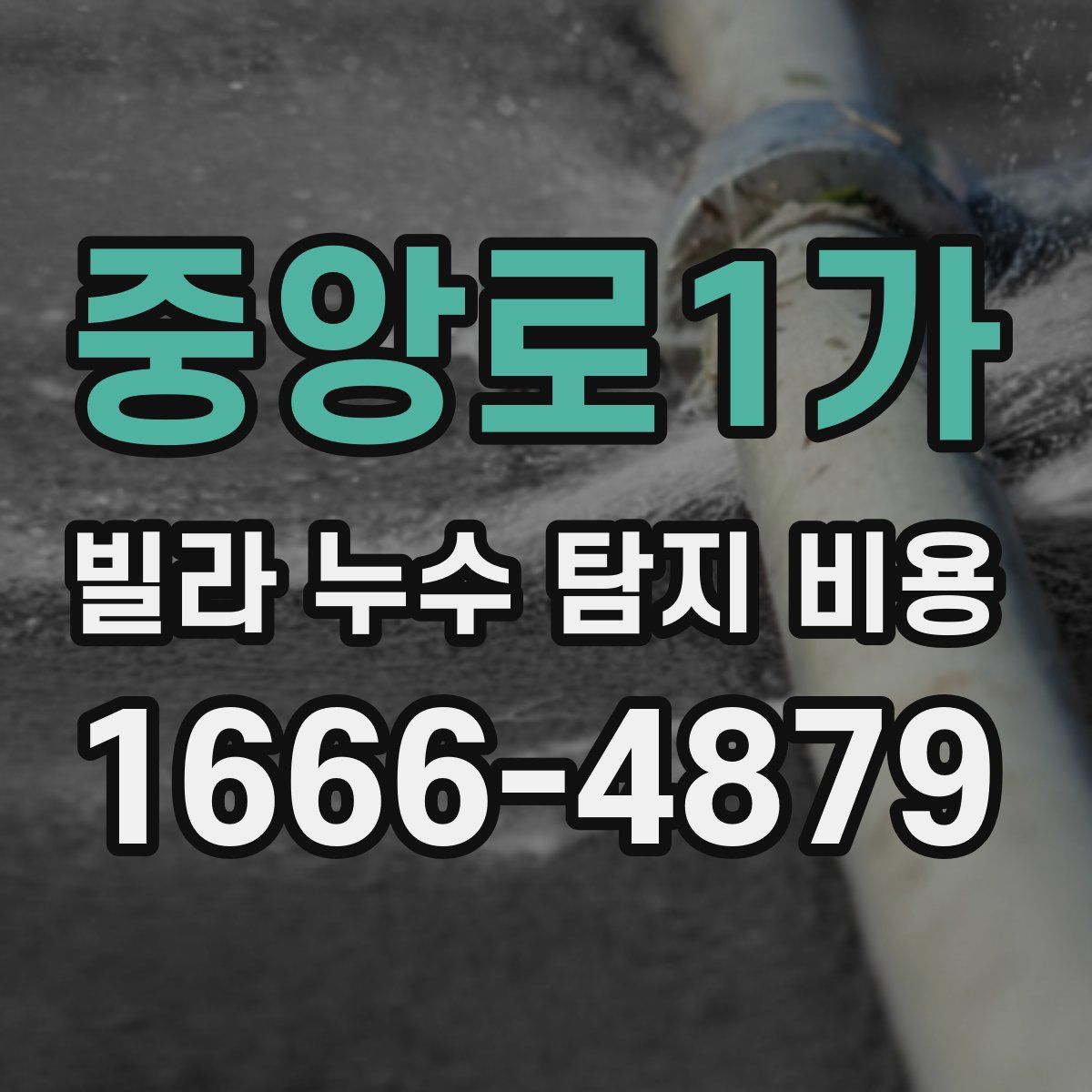 중앙로1가 빌라 누수 탐지 비용