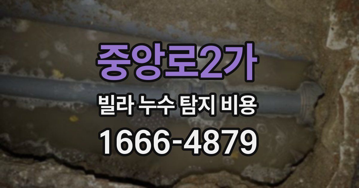 중앙로2가 빌라 누수 탐지 비용