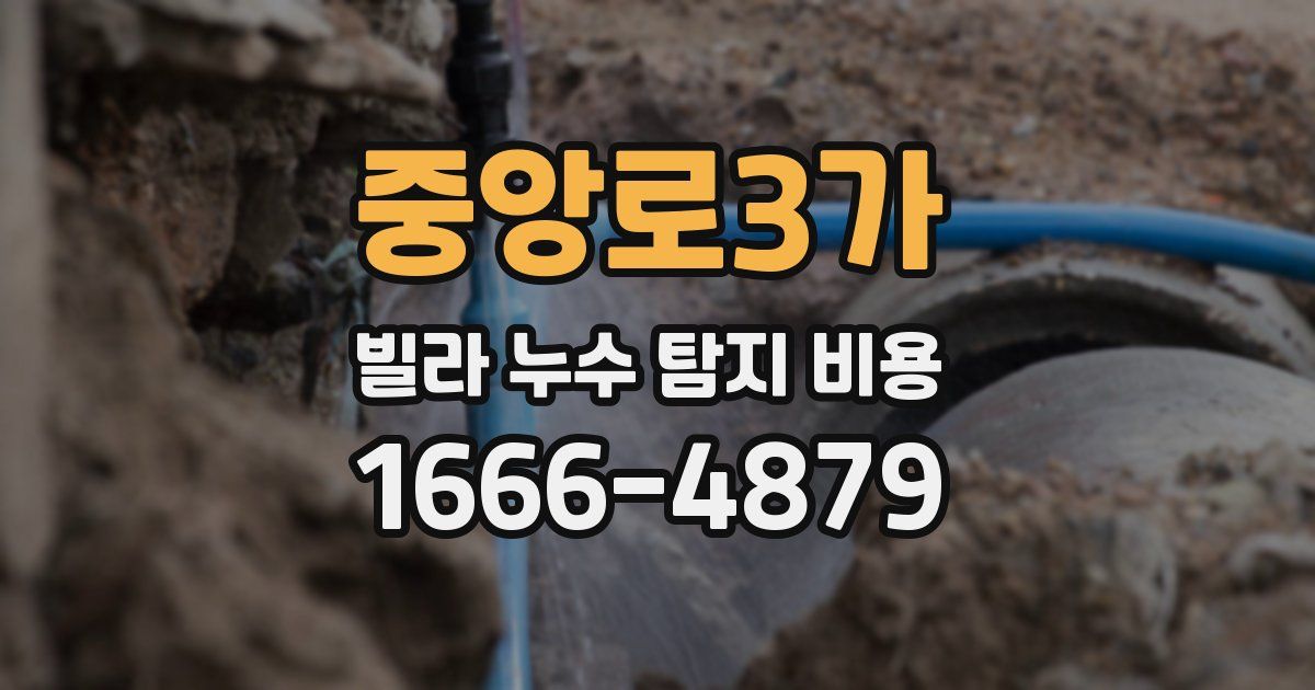 중앙로3가 빌라 누수 탐지 비용