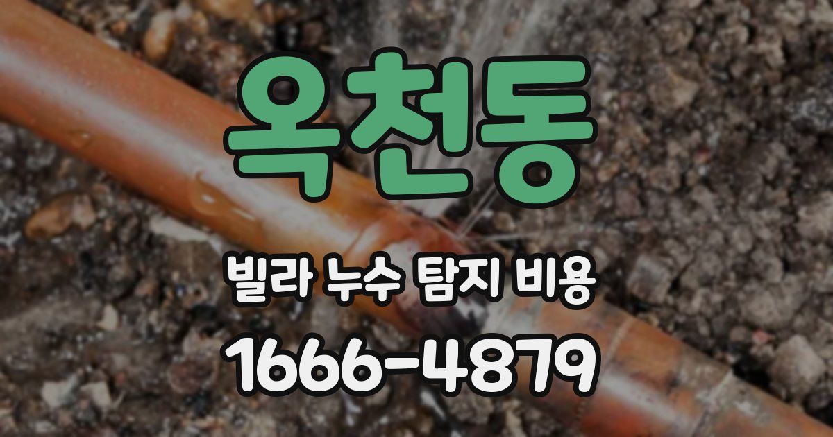 옥천동 빌라 누수 탐지 비용