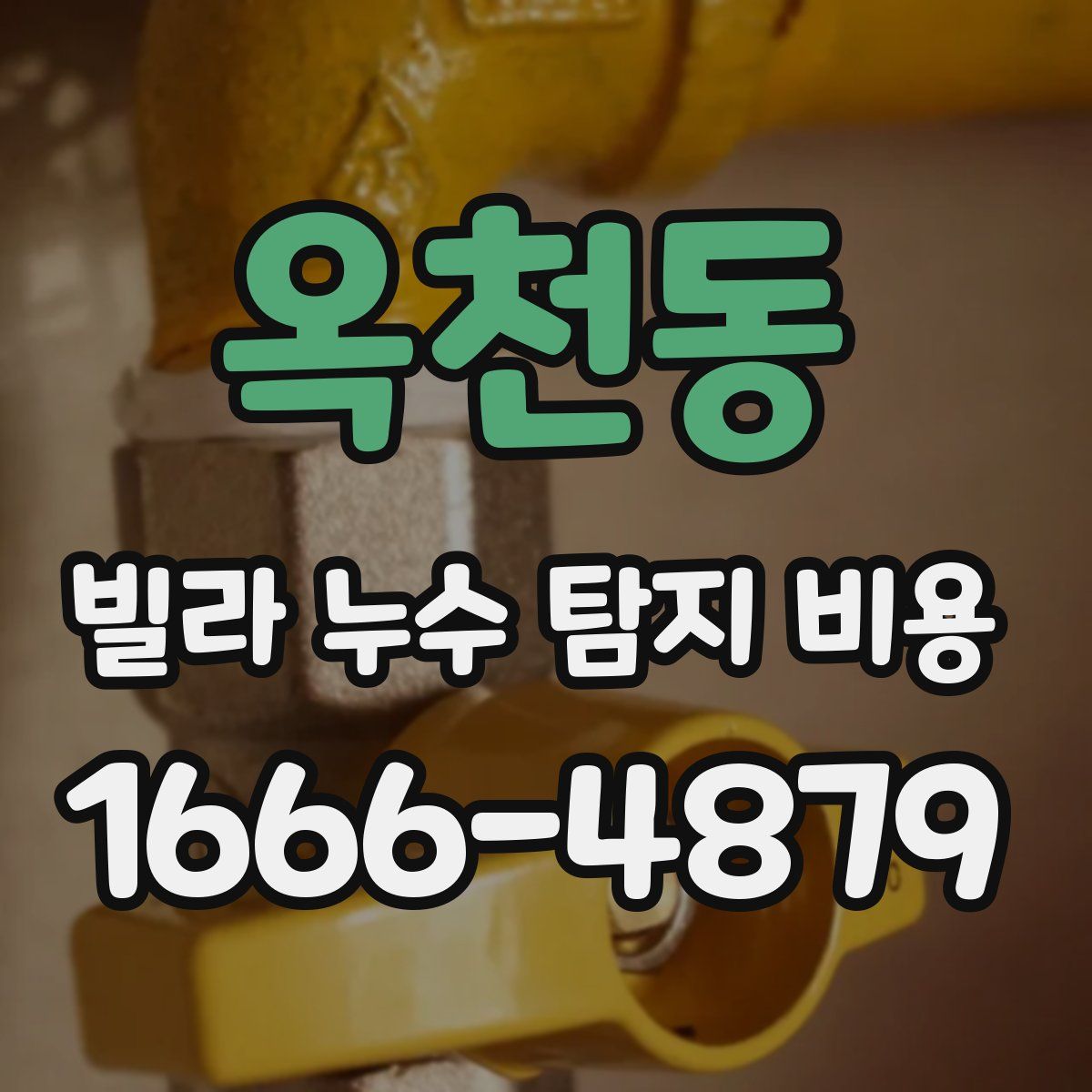 옥천동 빌라 누수 탐지 비용