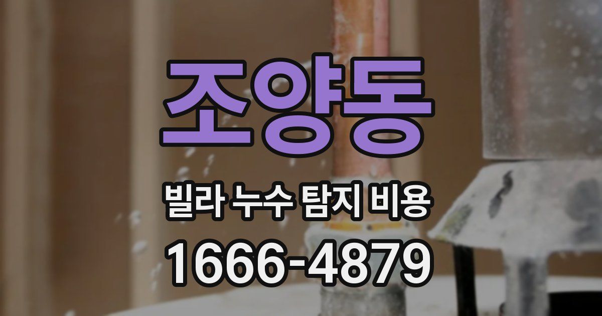 조양동 빌라 누수 탐지 비용