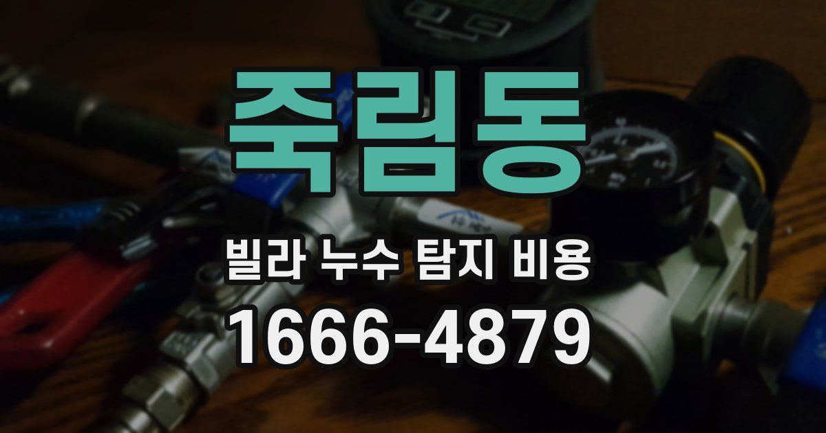 죽림동 빌라 누수 탐지 비용
