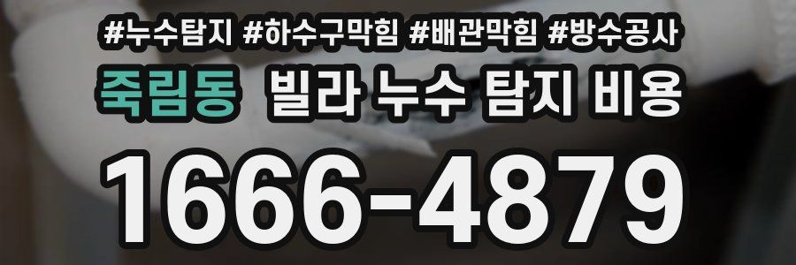죽림동 빌라 누수 탐지 비용