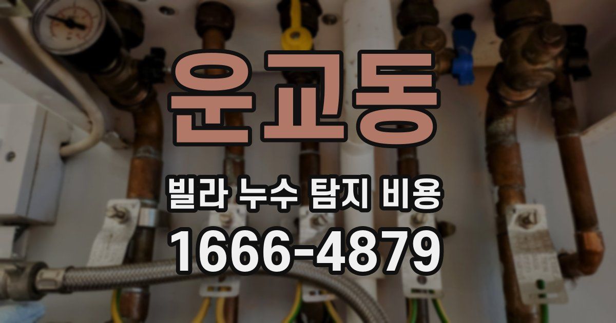 운교동 빌라 누수 탐지 비용