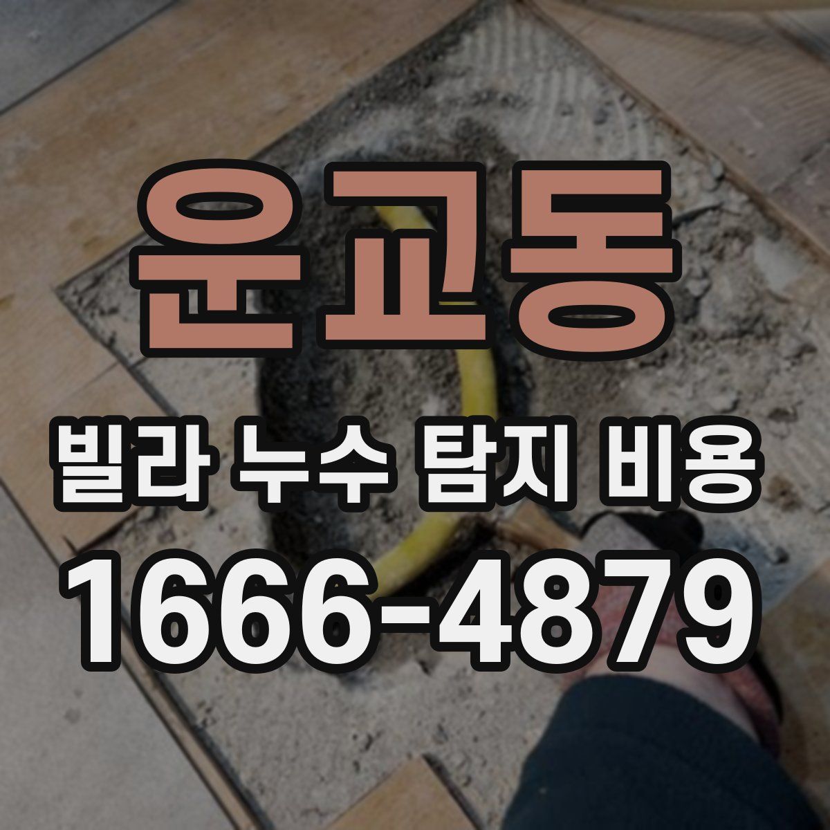 운교동 빌라 누수 탐지 비용