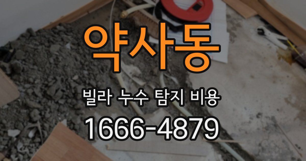 약사동 빌라 누수 탐지 비용