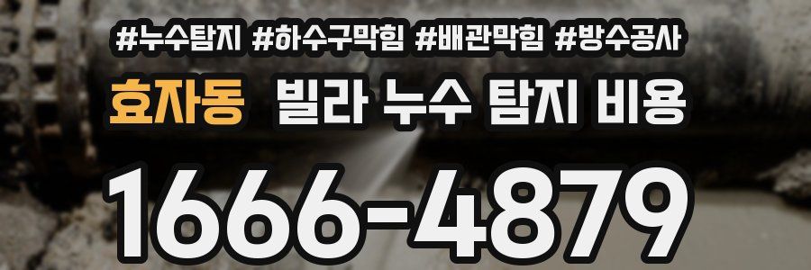 효자동 빌라 누수 탐지 비용