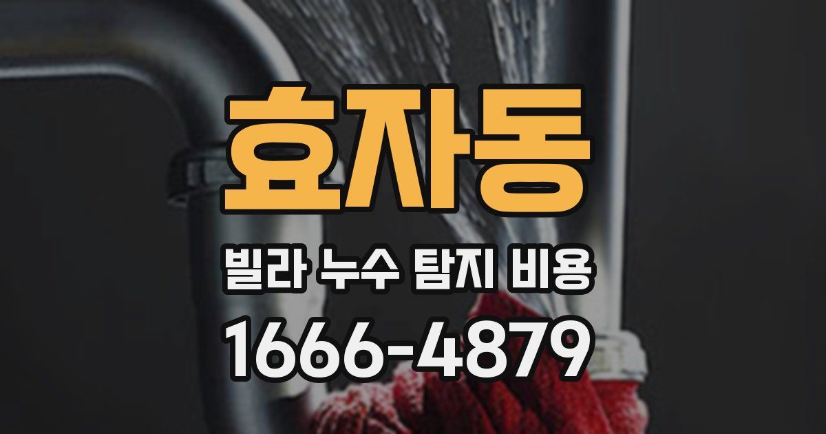 효자동 빌라 누수 탐지 비용