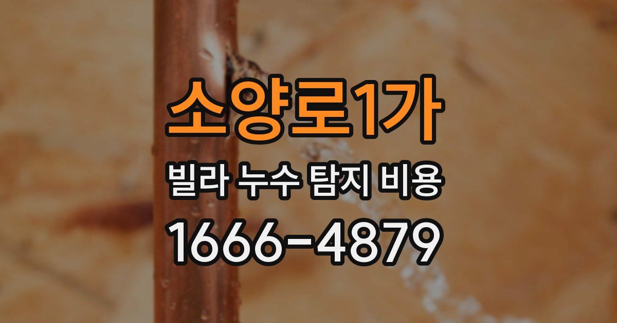 소양로1가 빌라 누수 탐지 비용