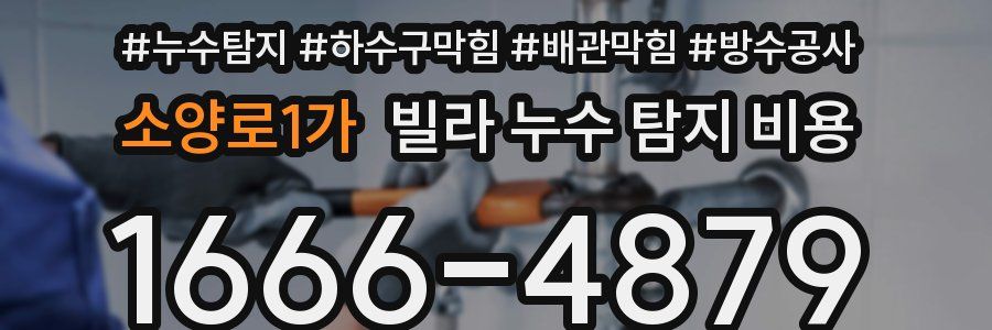 소양로1가 빌라 누수 탐지 비용