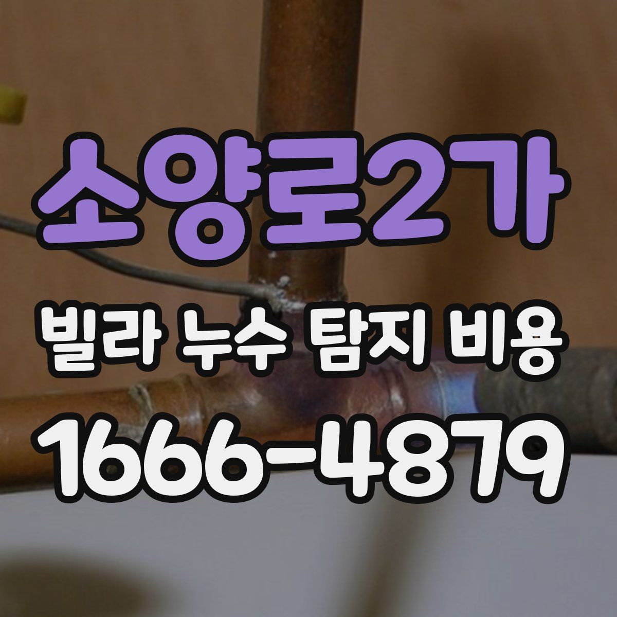 소양로2가 빌라 누수 탐지 비용