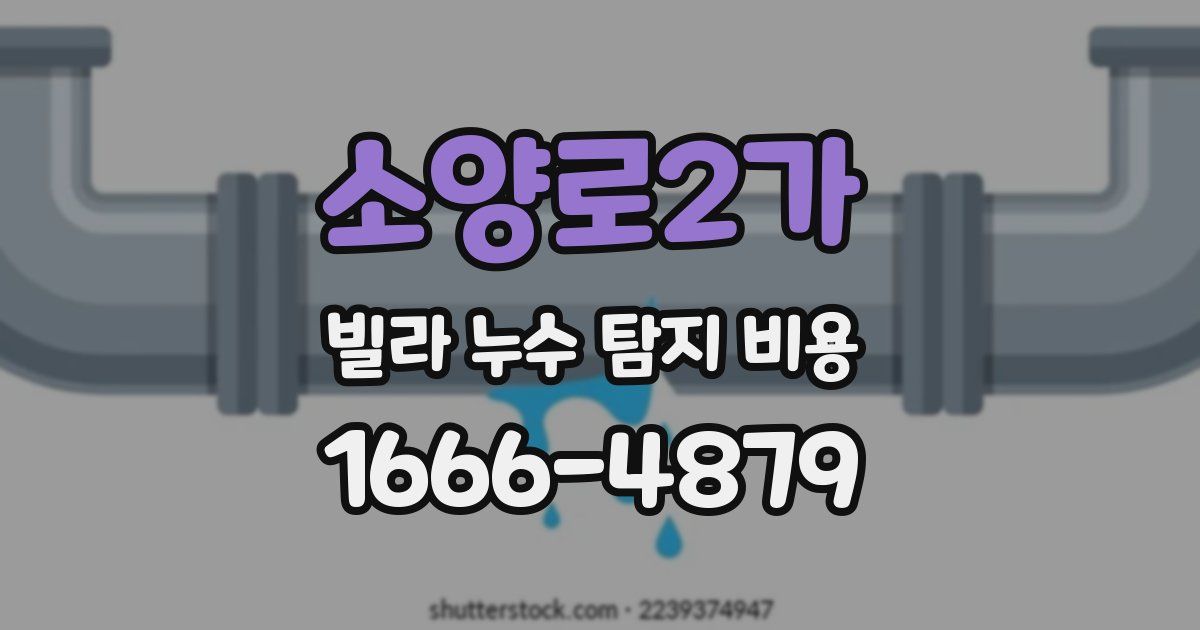 소양로2가 빌라 누수 탐지 비용