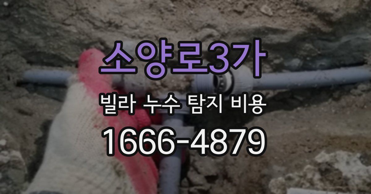 소양로3가 빌라 누수 탐지 비용