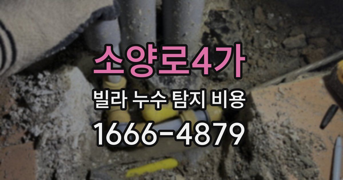 소양로4가 빌라 누수 탐지 비용