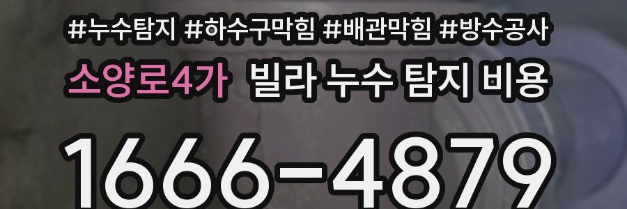 소양로4가 빌라 누수 탐지 비용