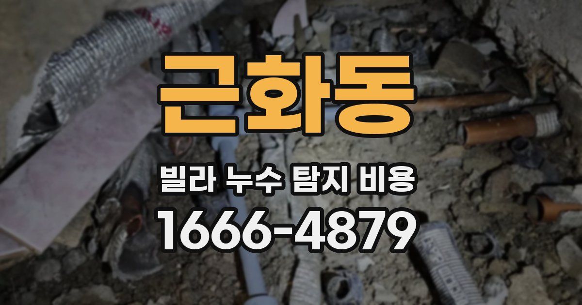 근화동 빌라 누수 탐지 비용
