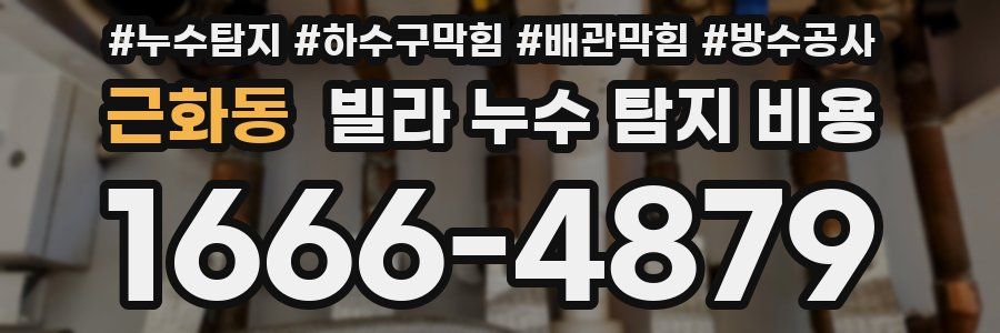 근화동 빌라 누수 탐지 비용