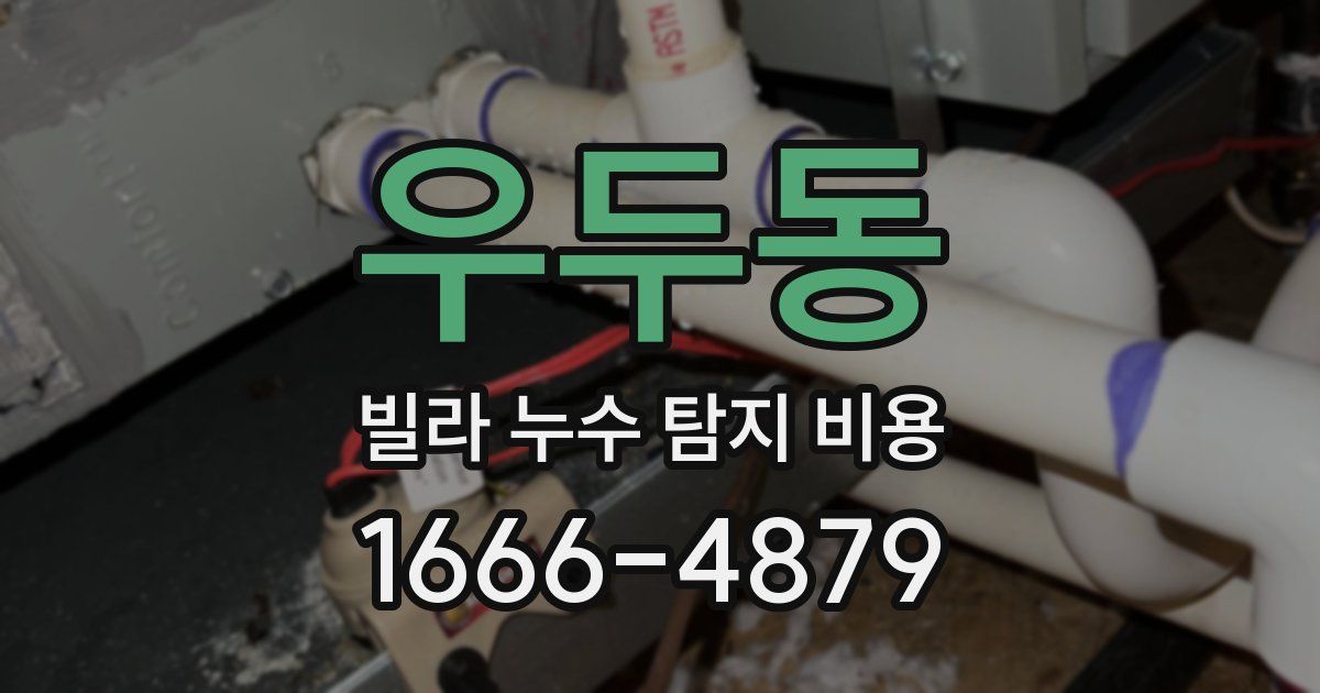 우두동 빌라 누수 탐지 비용
