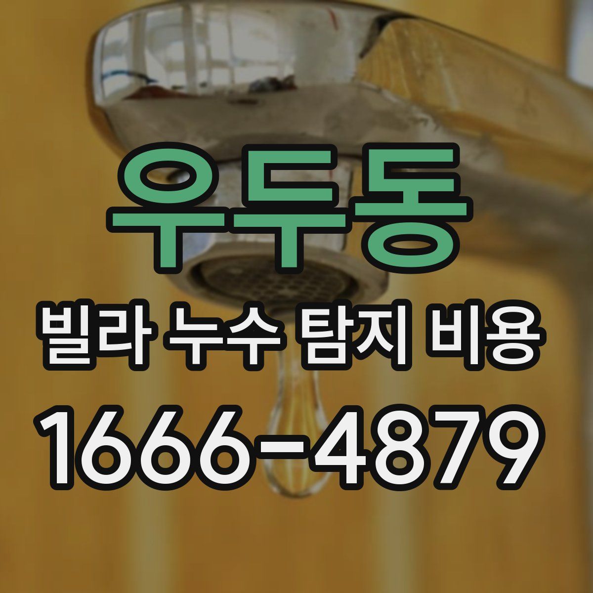 우두동 빌라 누수 탐지 비용