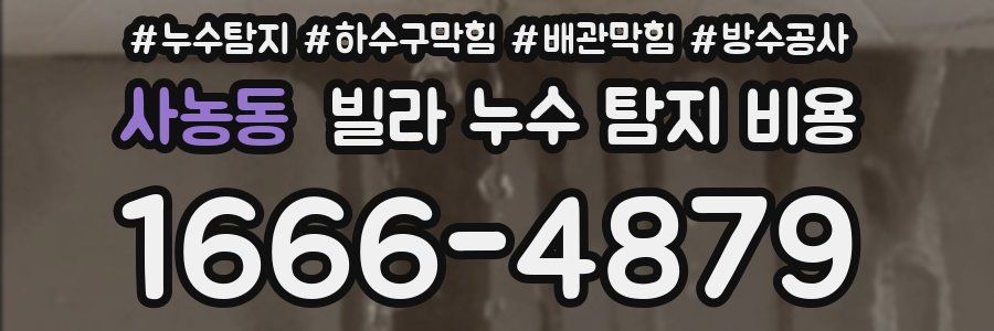 사농동 빌라 누수 탐지 비용